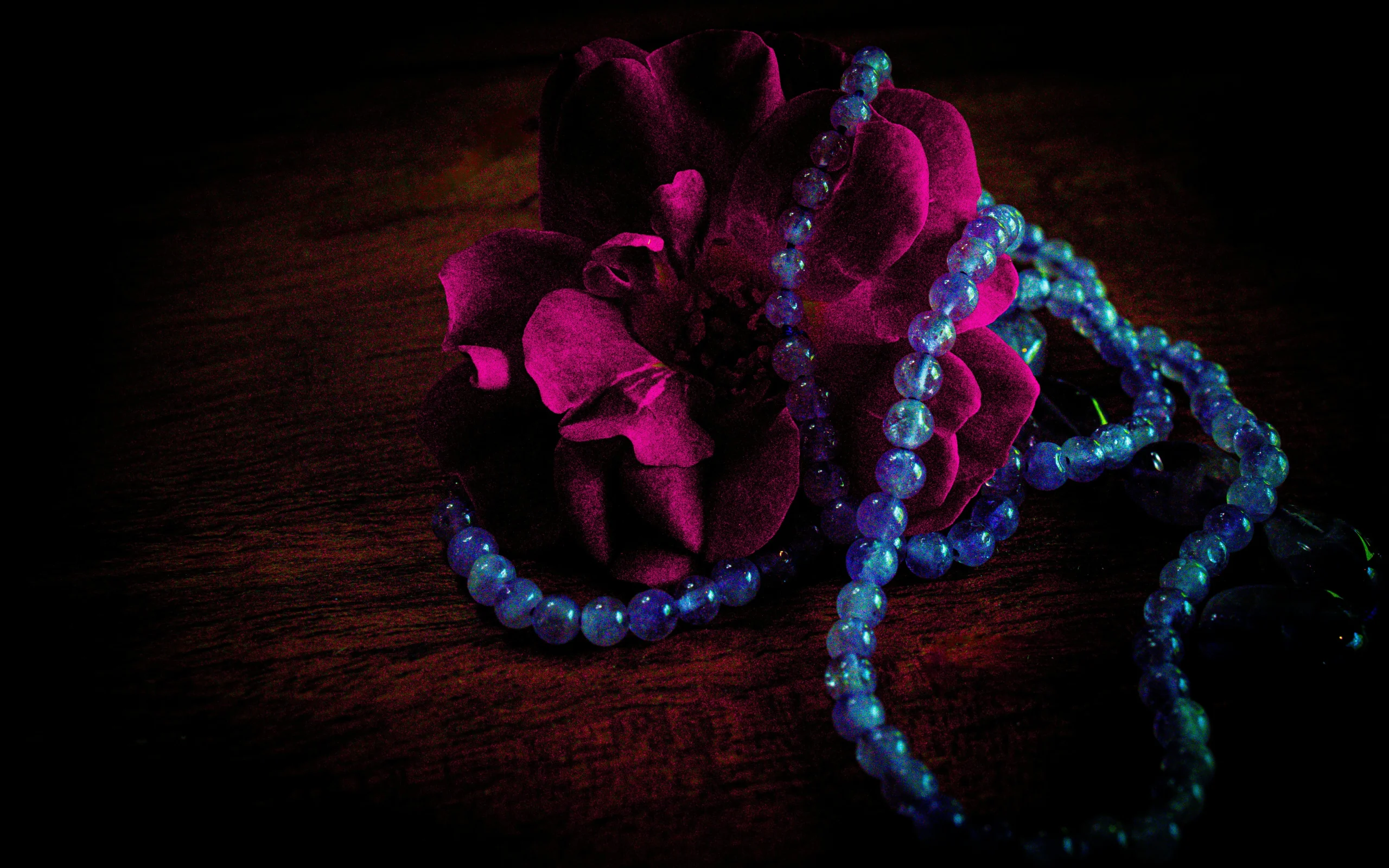 fleur violette avec un collier de perle bleu