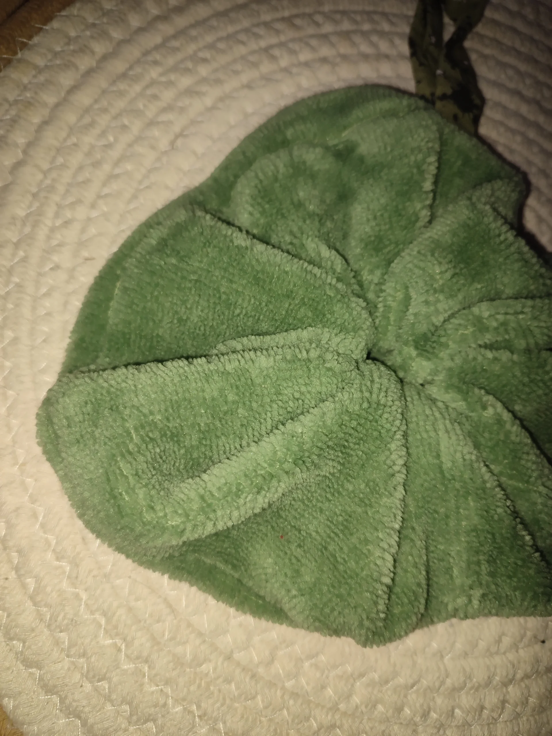 fleur de douche vue de prêt de couleur vert kaki